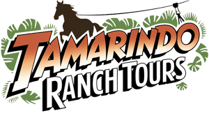 Tamarindo Ranch Tours